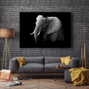 Foto op aluminium plaat Olifant Dukeline