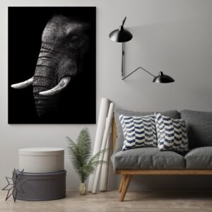 Detailfoto op aluminium plaat olifant Dukeline